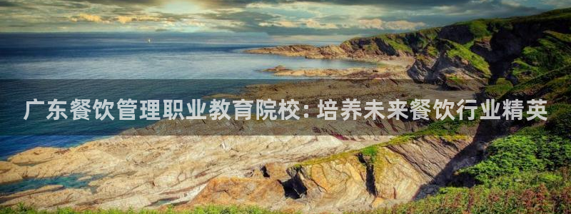 必一体育合法吗：广东