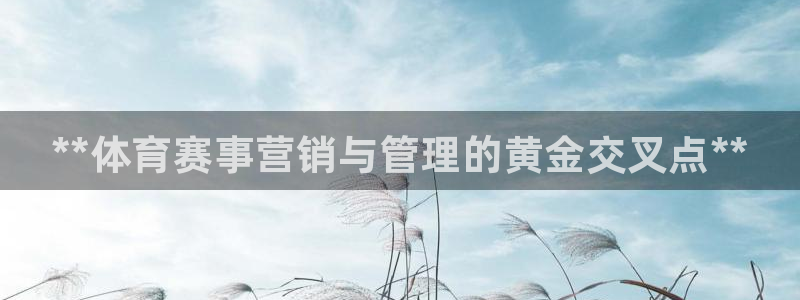 必一体育官方网站入口