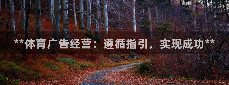 必一体育旧版：**体