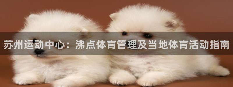 必一体育全站在线登录